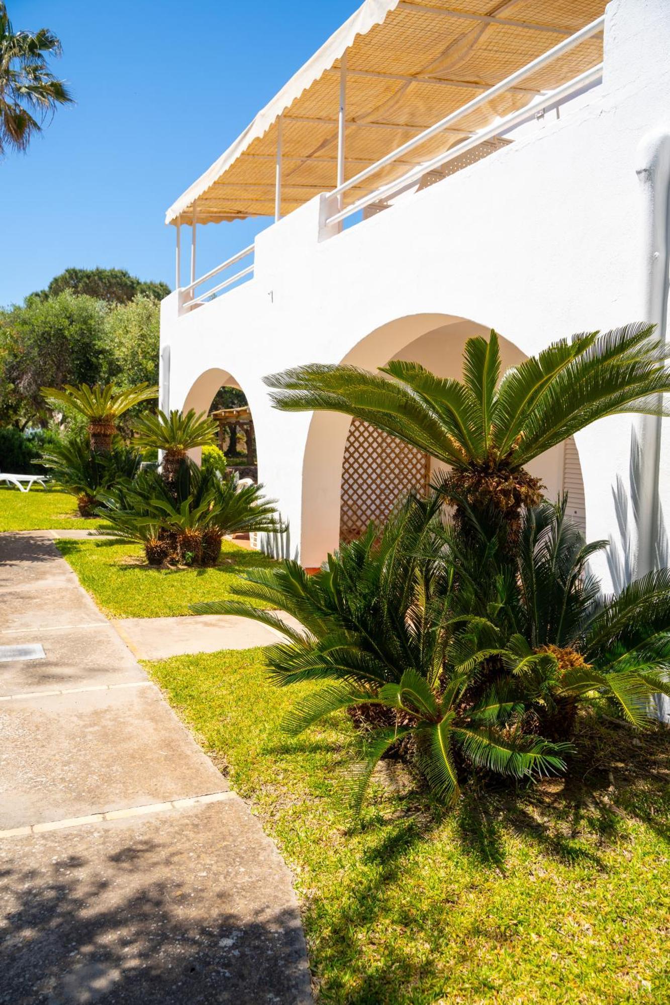 Residence Palummera Ischia Esterno foto