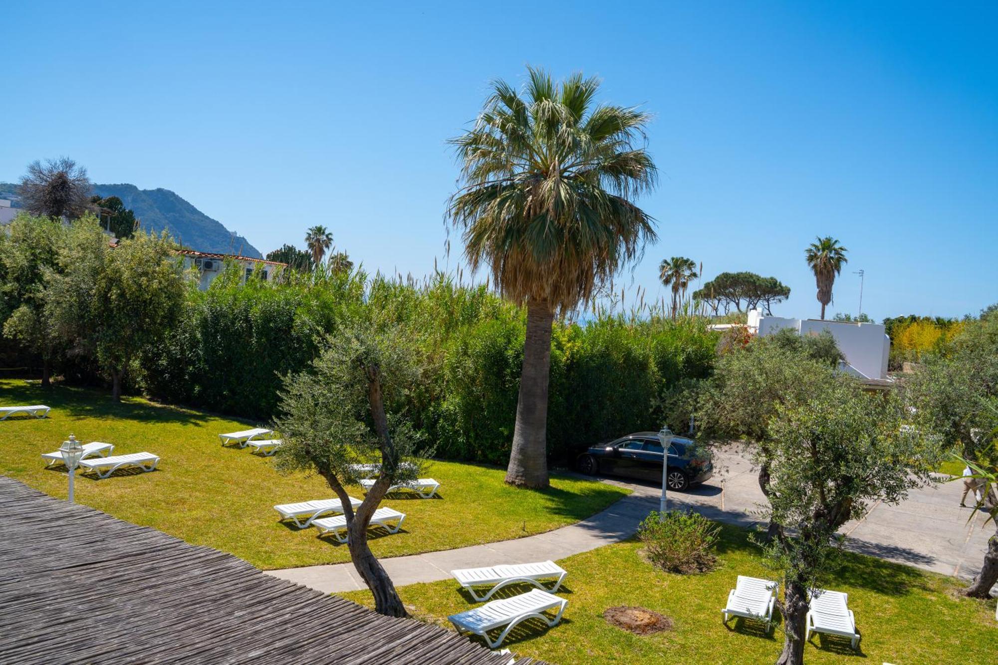 Residence Palummera Ischia Esterno foto