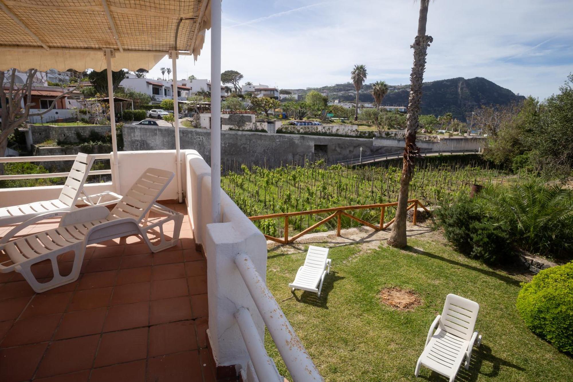 Residence Palummera Ischia Esterno foto